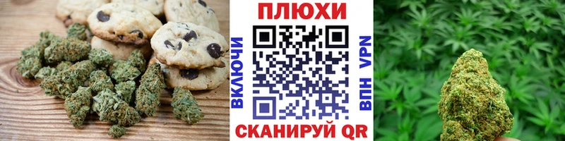 Canna-Cookies марихуана Северская