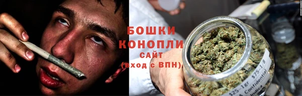 трава Нефтекумск