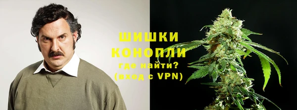 спиды Нея