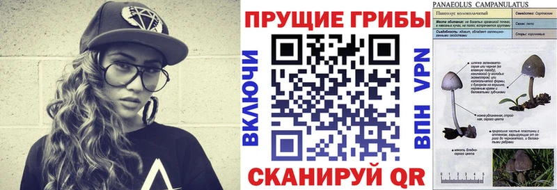 Галлюциногенные грибы мухоморы  Северская 